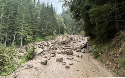 Erneute Unwetterlage